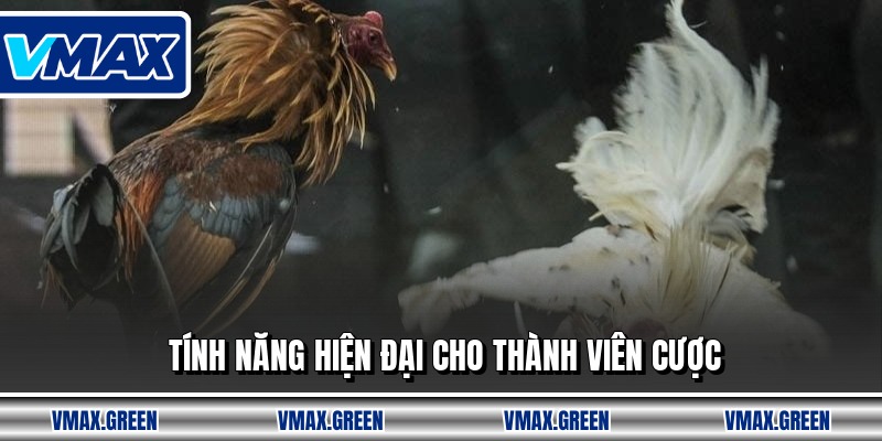 Tính năng hiện đại cho thành viên cược